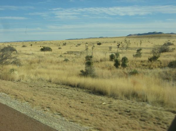 normal_10_Jan_09_East_Texas_Landscape