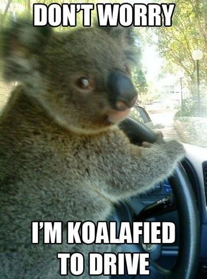 koalified