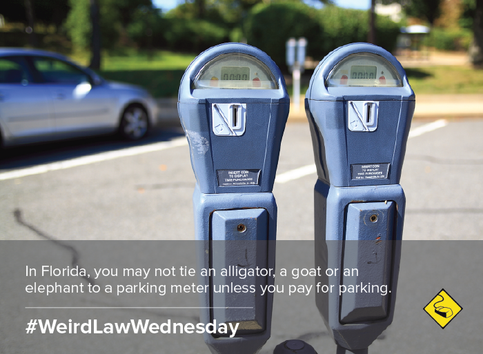 floridaparkinglaw