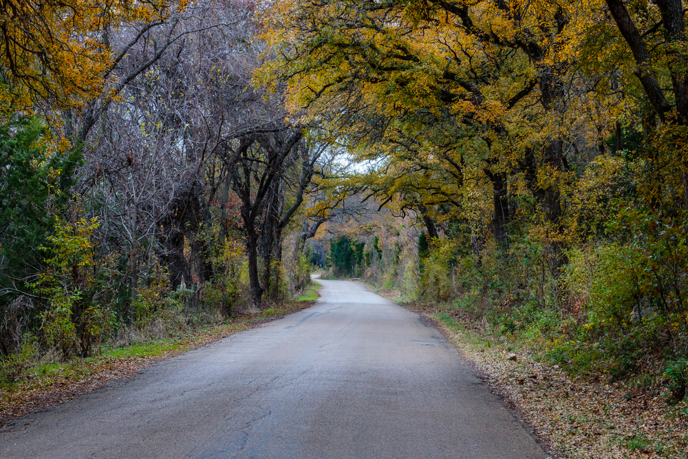 texas-road-jpg